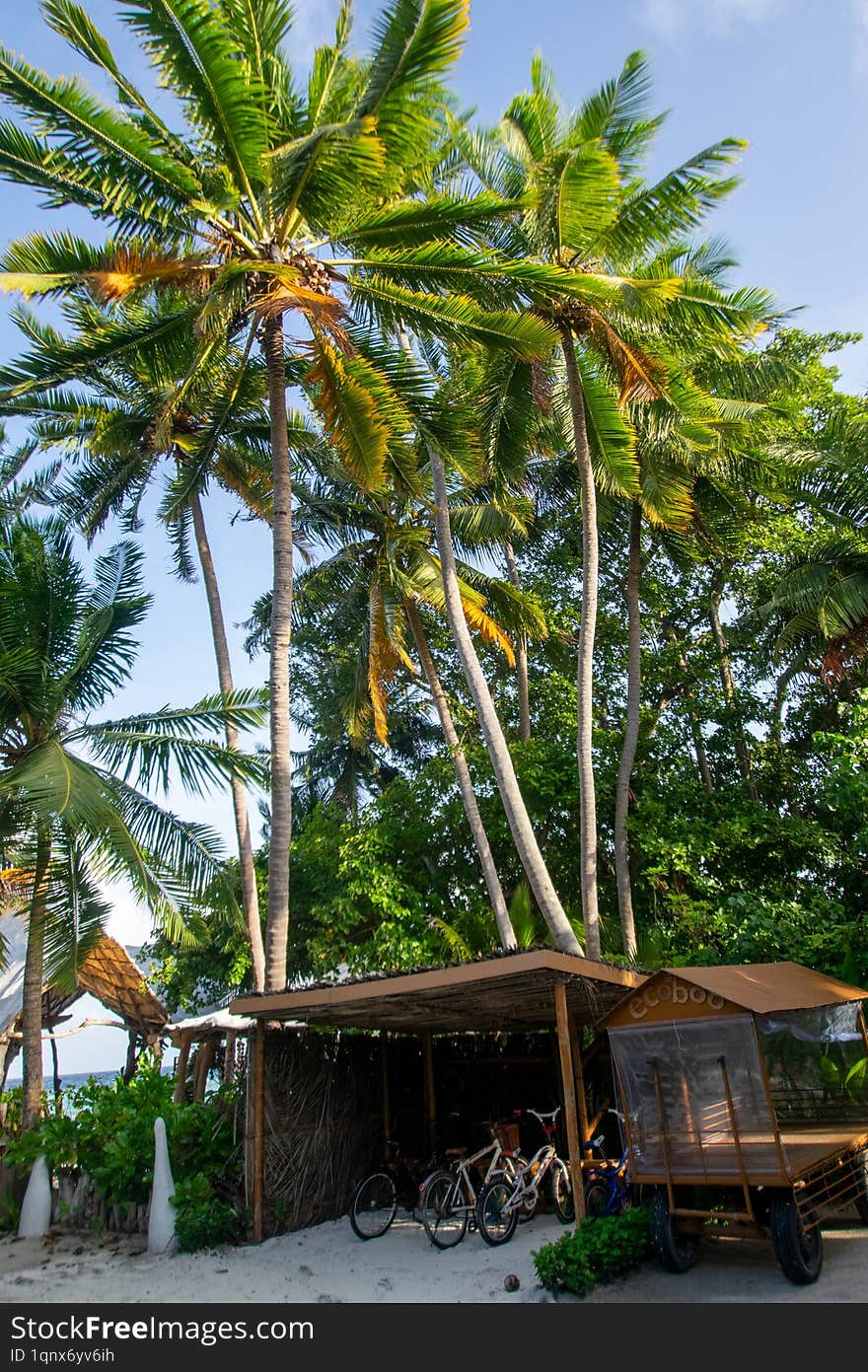 Tropical Heights in the Maldives