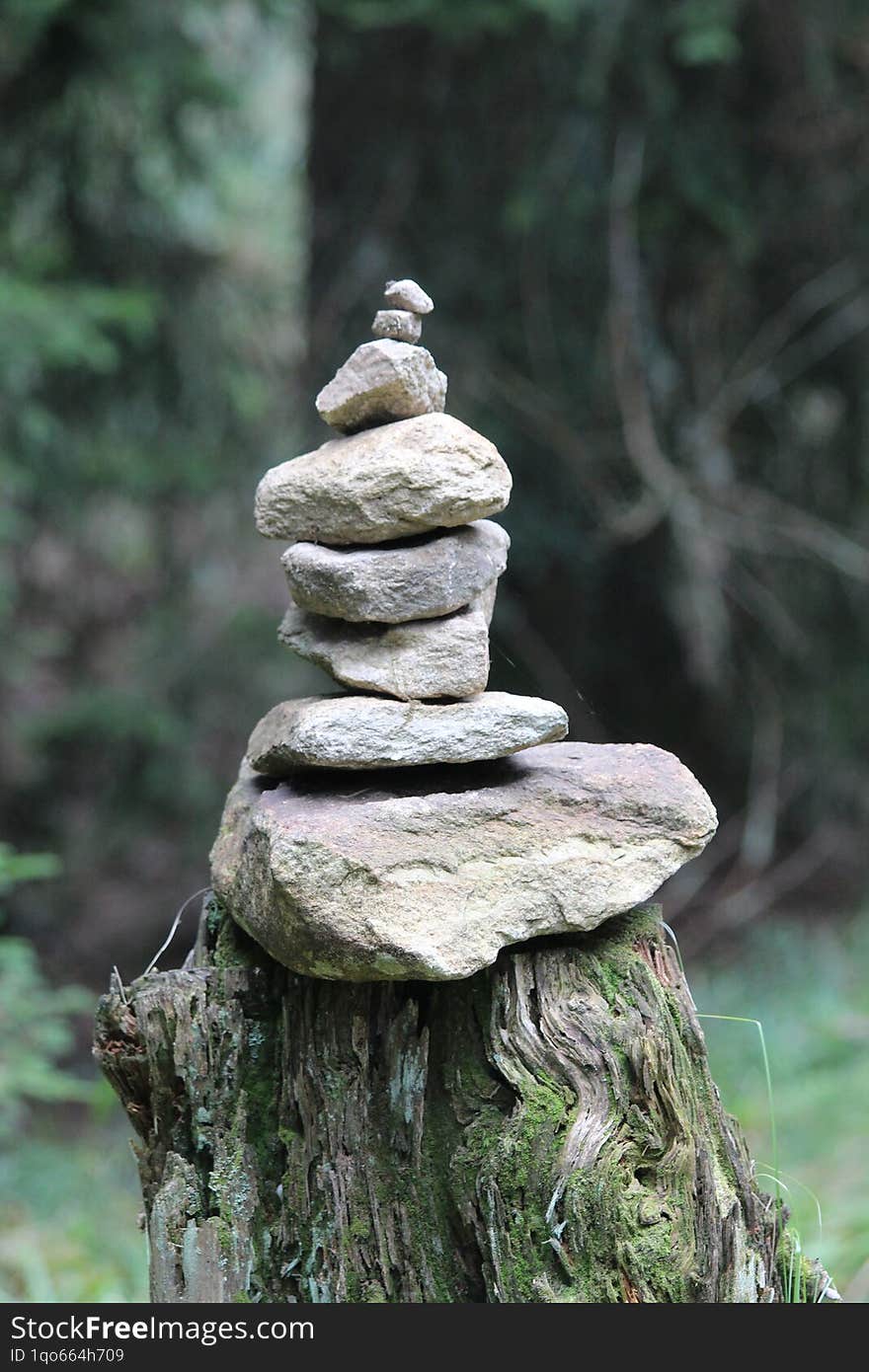 Stone Decoration In A Peaceful Forest