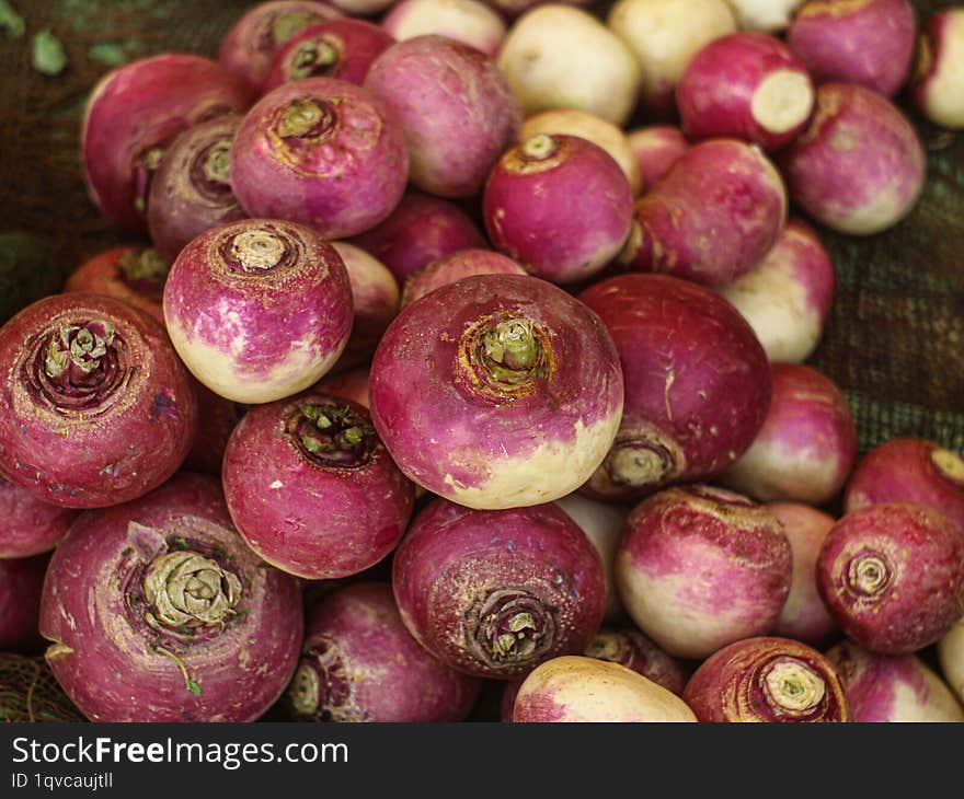 A close-up image of a pile of fresh, vibrant purple turnips. The turnips are arranged in a seemingly random pattern, with some sho