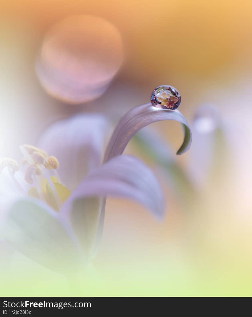 Incredibly beautiful Nature.Fantasy design.Modern Art. Magic Artistic Wallpaper.Dream, line.Golden Background, colorful.Watercolor illustration. Background for relax.Web Banner .Abstract nature background.Beauty in Nature.Pure,clean.Plant,ecology.Yellow and White Color.Amazing Photo.Fresh,freshness.Softness,soft.Creative Wallpaper.Colorful Scene in Vintage Tones.Vibrant Color.Natural Macro Photos and Tranquil Scene.Colorful Flowers.Colorful Background.Celebration,love.Summer Flower.White Flowers.Copy Space.Wedding Invitation.Spring Flower.Aroma,perfume.Peach Fuzz 2024. Incredibly beautiful Nature.Fantasy design.Modern Art. Magic Artistic Wallpaper.Dream, line.Golden Background, colorful.Watercolor illustration. Background for relax.Web Banner .Abstract nature background.Beauty in Nature.Pure,clean.Plant,ecology.Yellow and White Color.Amazing Photo.Fresh,freshness.Softness,soft.Creative Wallpaper.Colorful Scene in Vintage Tones.Vibrant Color.Natural Macro Photos and Tranquil Scene.Colorful Flowers.Colorful Background.Celebration,love.Summer Flower.White Flowers.Copy Space.Wedding Invitation.Spring Flower.Aroma,perfume.Peach Fuzz 2024.