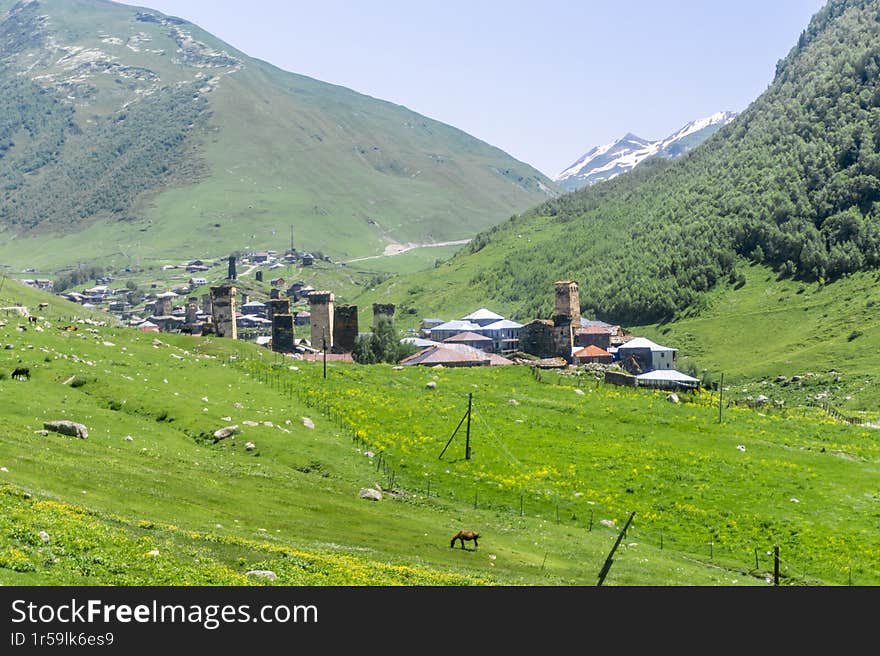 Ushguli village in a gorge between mountains. Green fields with yellow flowers. Snow capped mountains in the background