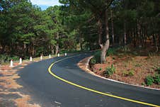 Road Curves Along The Mystery Forest Stock Image