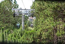 Cable-car Road Through The Forest. View From The Cabin Stock Photography