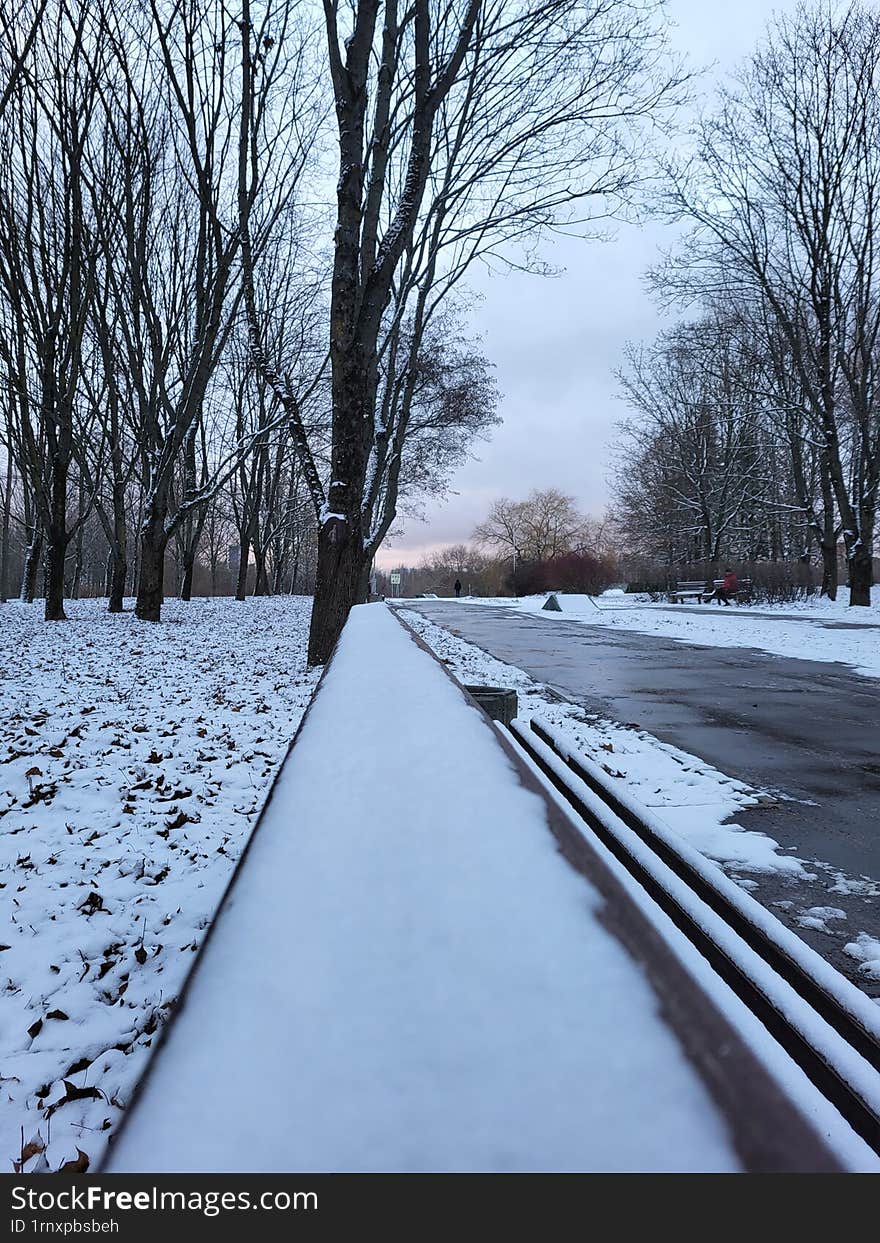 Book the sun in the snow-covered