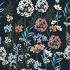 Blooming Midsummer Meadow Seamless Pattern. Plant Background For Fashion Prints Royalty Free Stock Image