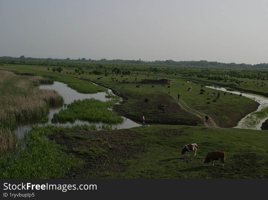 Beautiful water canals in the Vojvodina plain, cutting through the meadows.