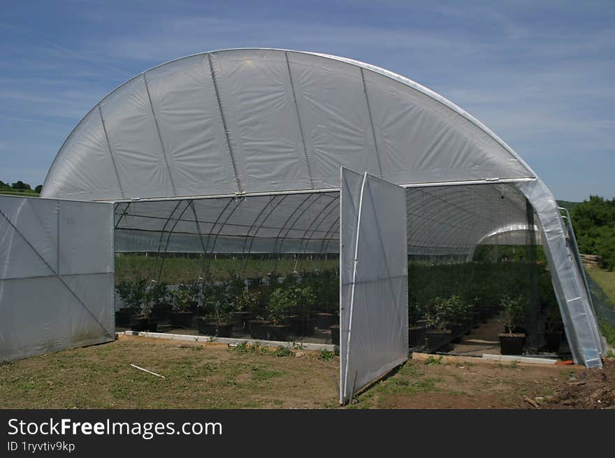 A greenhouse with young seedlings.