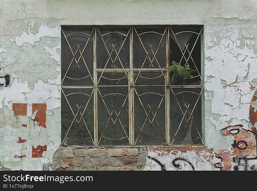 the window of an abandoned house where nature emerges