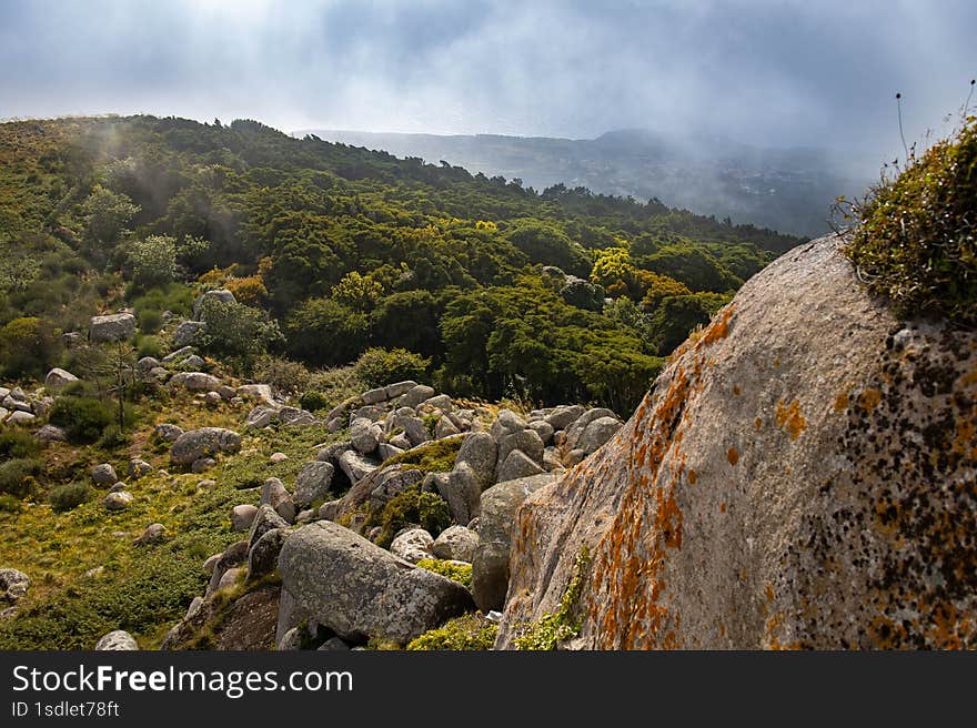 close up of a big rock in Sintra natural park