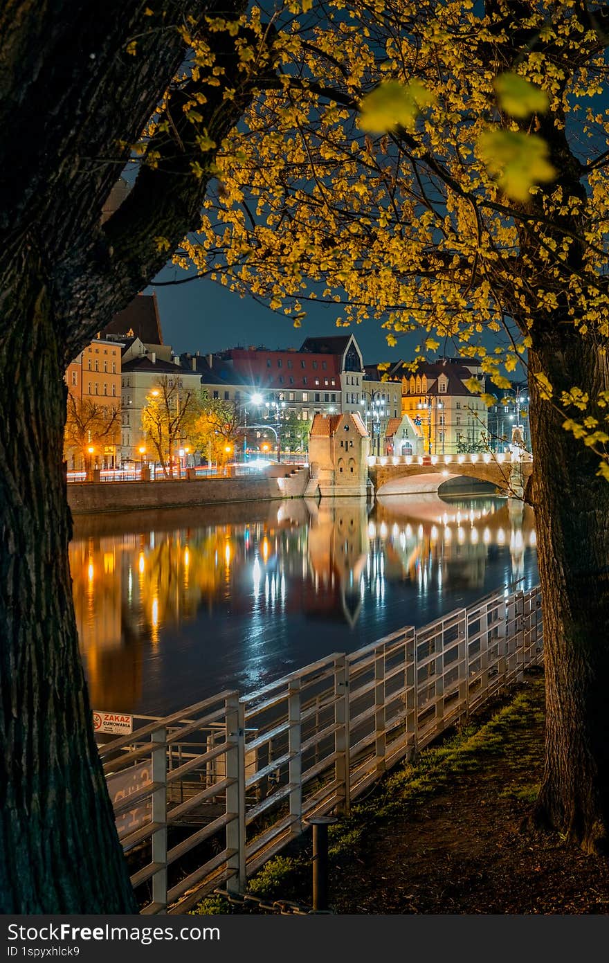 night city Wroclaw Poland, arch nature