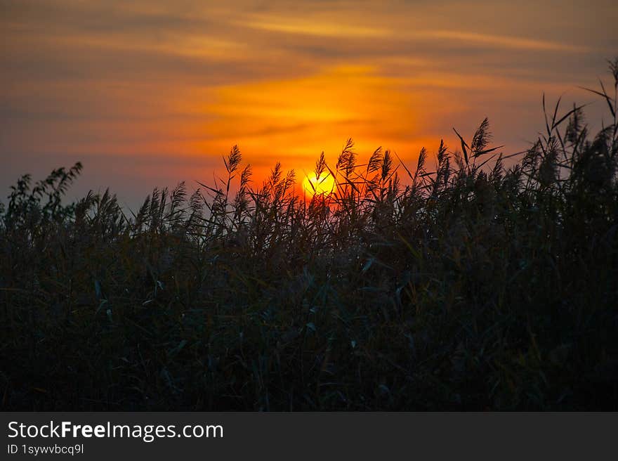 Sunset at lakeside with grass on foreground