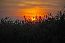 Sunset At Lakeside With Grass On Foreground Royalty Free Stock Photo