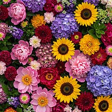 Variety Of Flowers For Background Stock Images