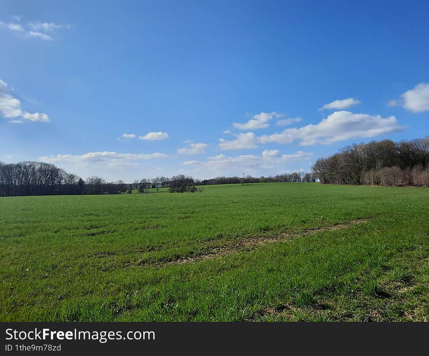 open field in a wooded area in early spring