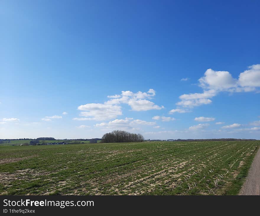 the picture shows an open landscape at the beginning of spring with fields and a few trees