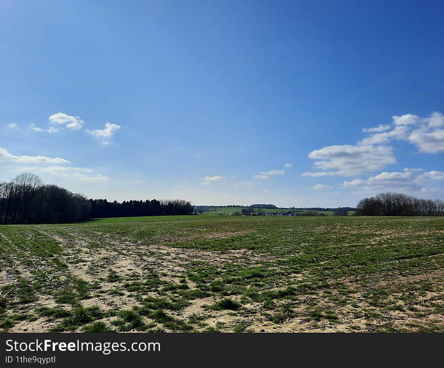 the picture shows an open landscape at the beginning of spring with fields and a few trees