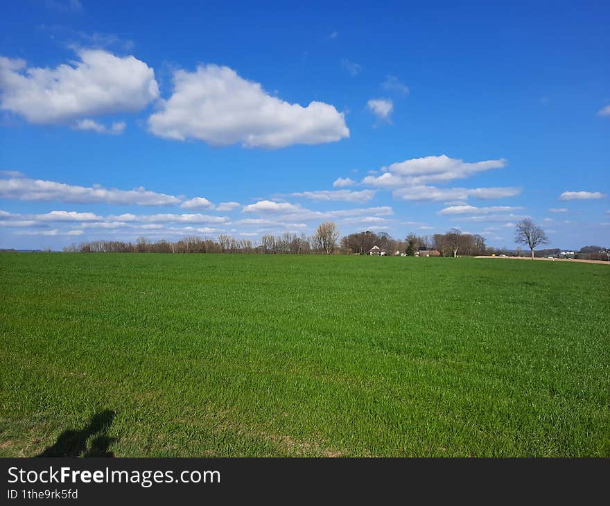 the picture shows an open landscape at the beginning of spring with fields and a few trees