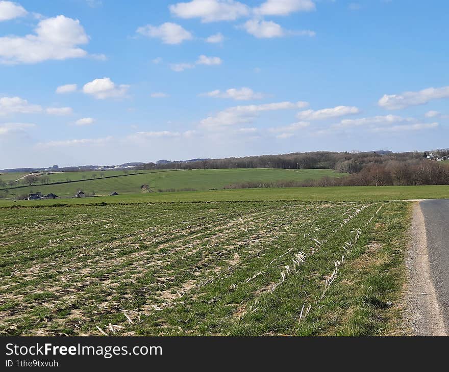 open landscape at the beginning of spring with a view of the edge of a forest