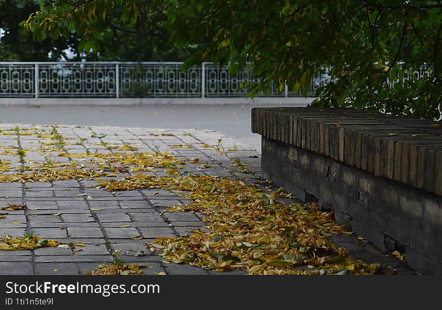 A tiled path with autumn leaves on it. To the right is a brick bench and trees grow nearby. In the distance you can see a metal fence. The atmosphere is autumnal and calm.