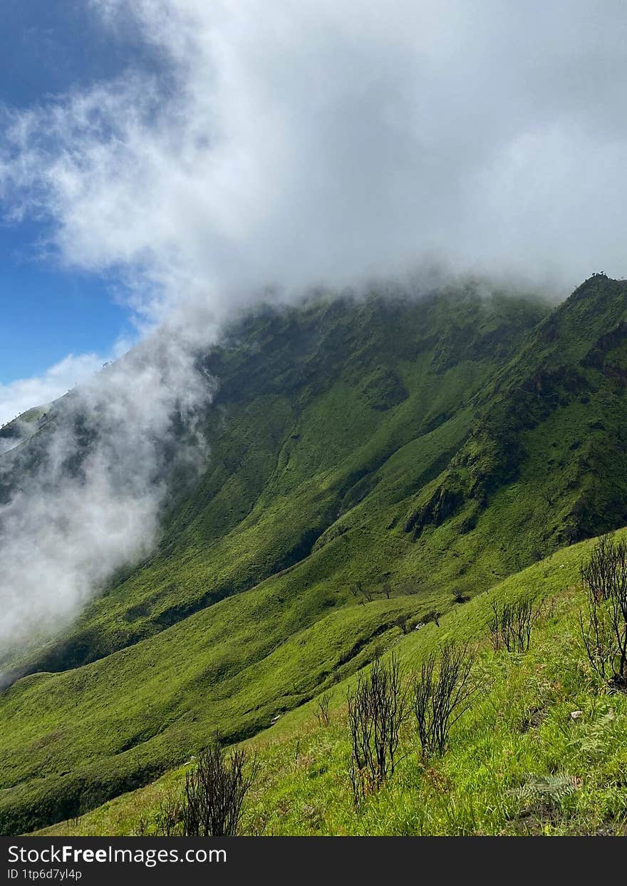 beautiful view of the mountain
