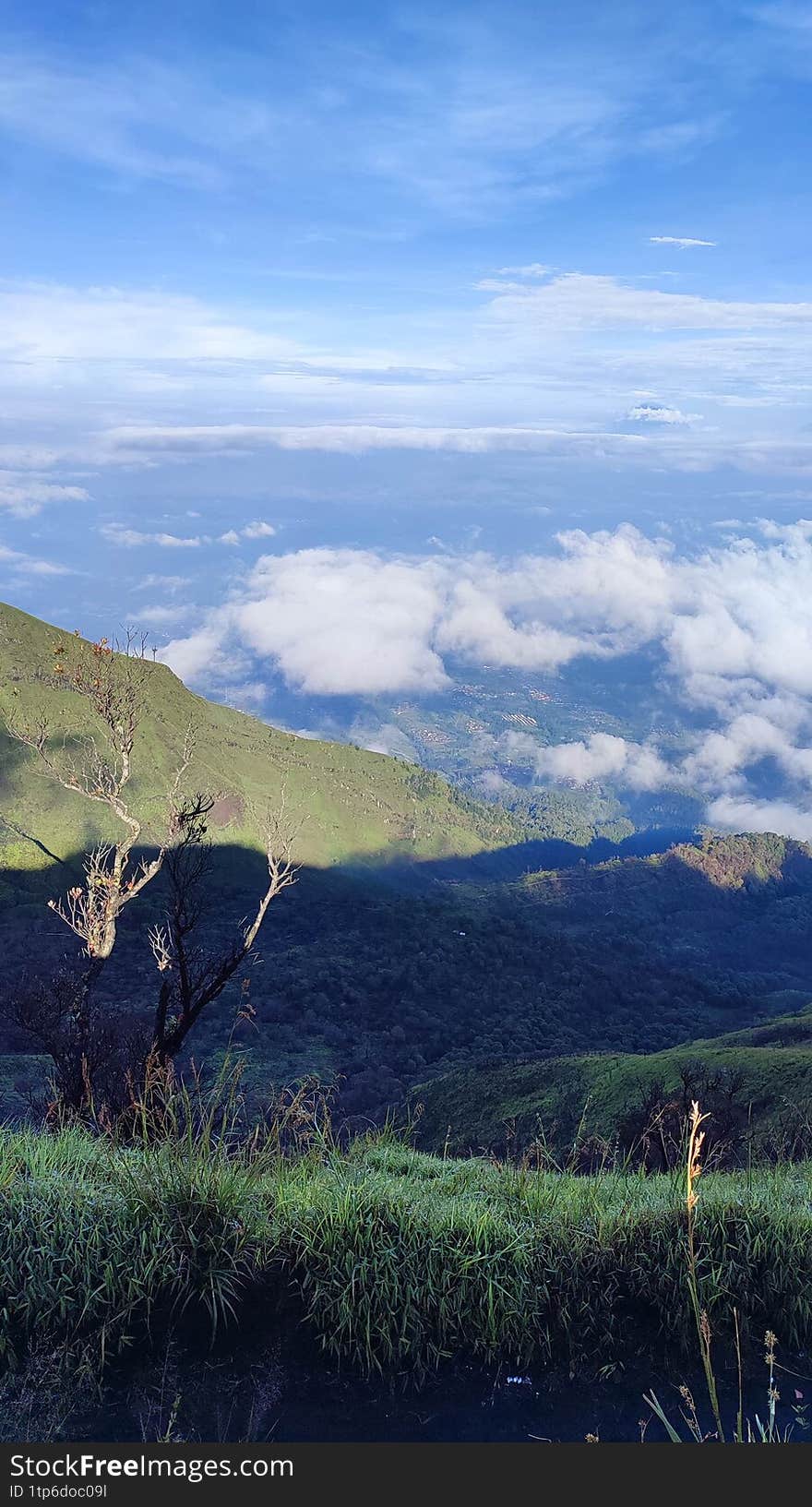 beautiful view of the mountain
