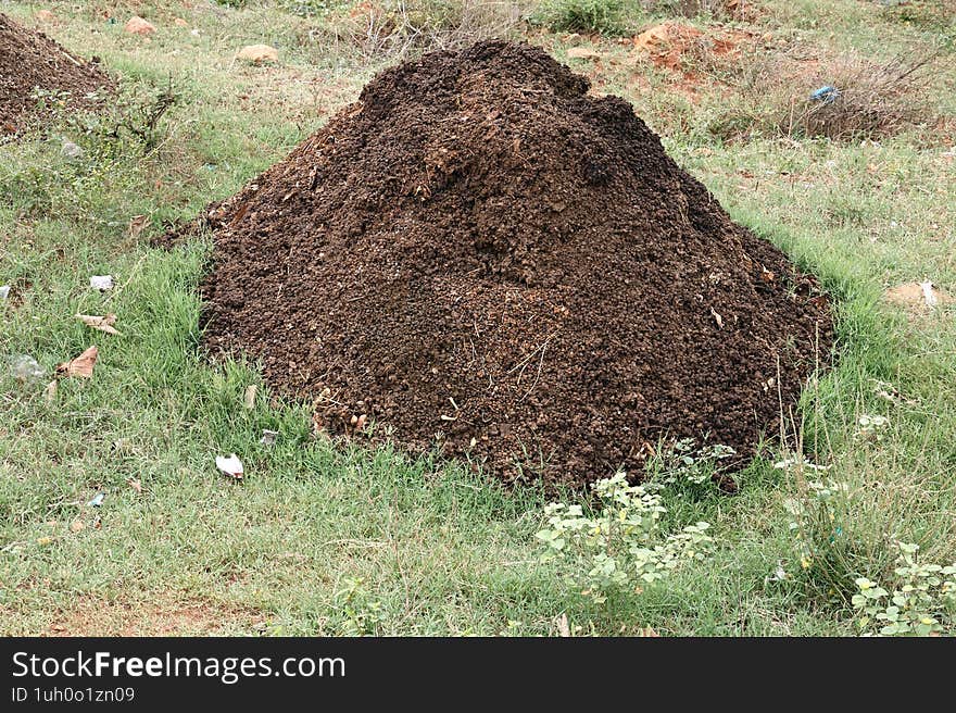 Goat manure is a valuable source of nutrients for plants, containing significant amounts of nitrogen, phosphorus, and potassium.
