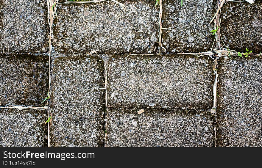 Grass grows between the paving blocks