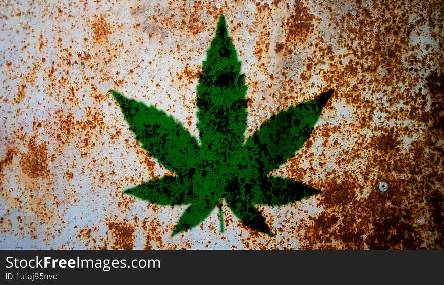 cannabis leaf texture as background