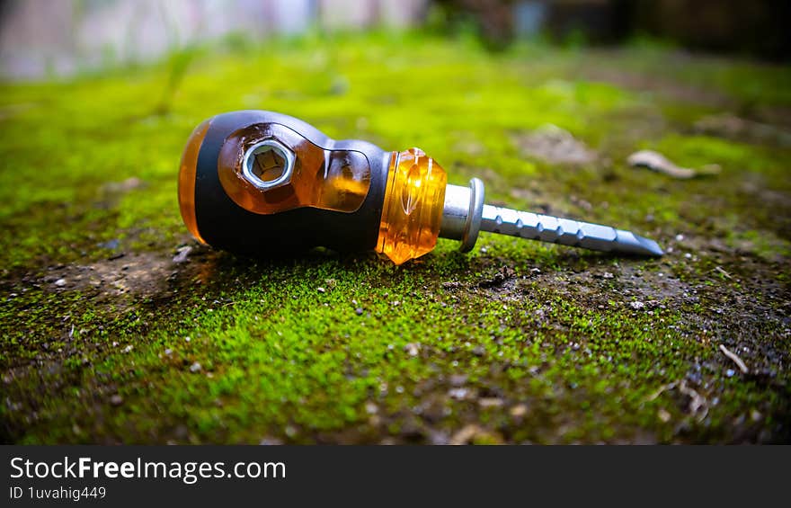 a screwdriver on the moss-covered floor. a screwdriver on the moss-covered floor
