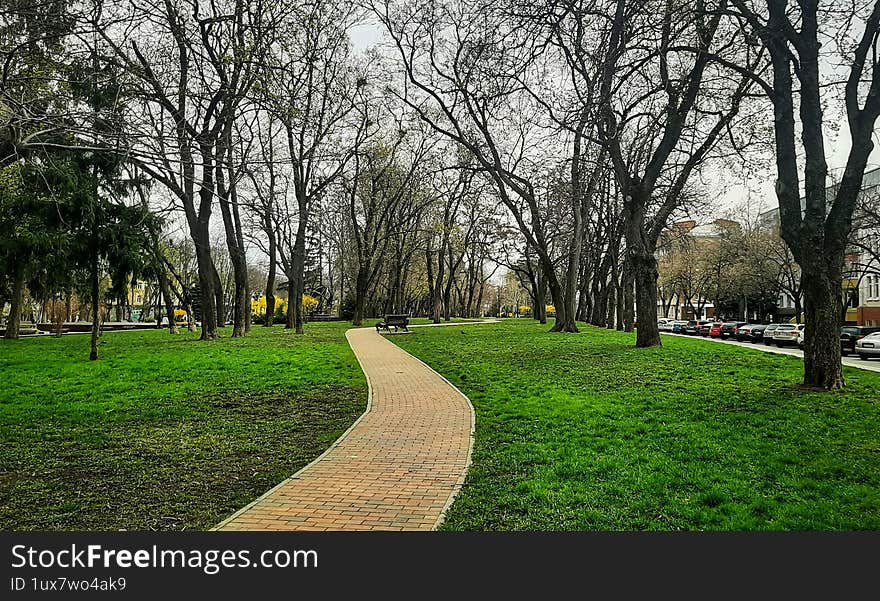 spring park in cloudy weather. the path in the park. lonely wooden shop in the park. trees without leaves in the park spring. city ??park in spring. park in the city. spring park in cloudy weather. the path in the park. lonely wooden shop in the park. trees without leaves in the park spring. city ??park in spring. park in the city