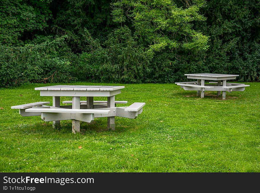 Two tables with benches in the park