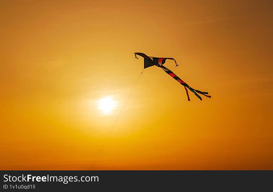 Colourful kite at the sunset with orange sky