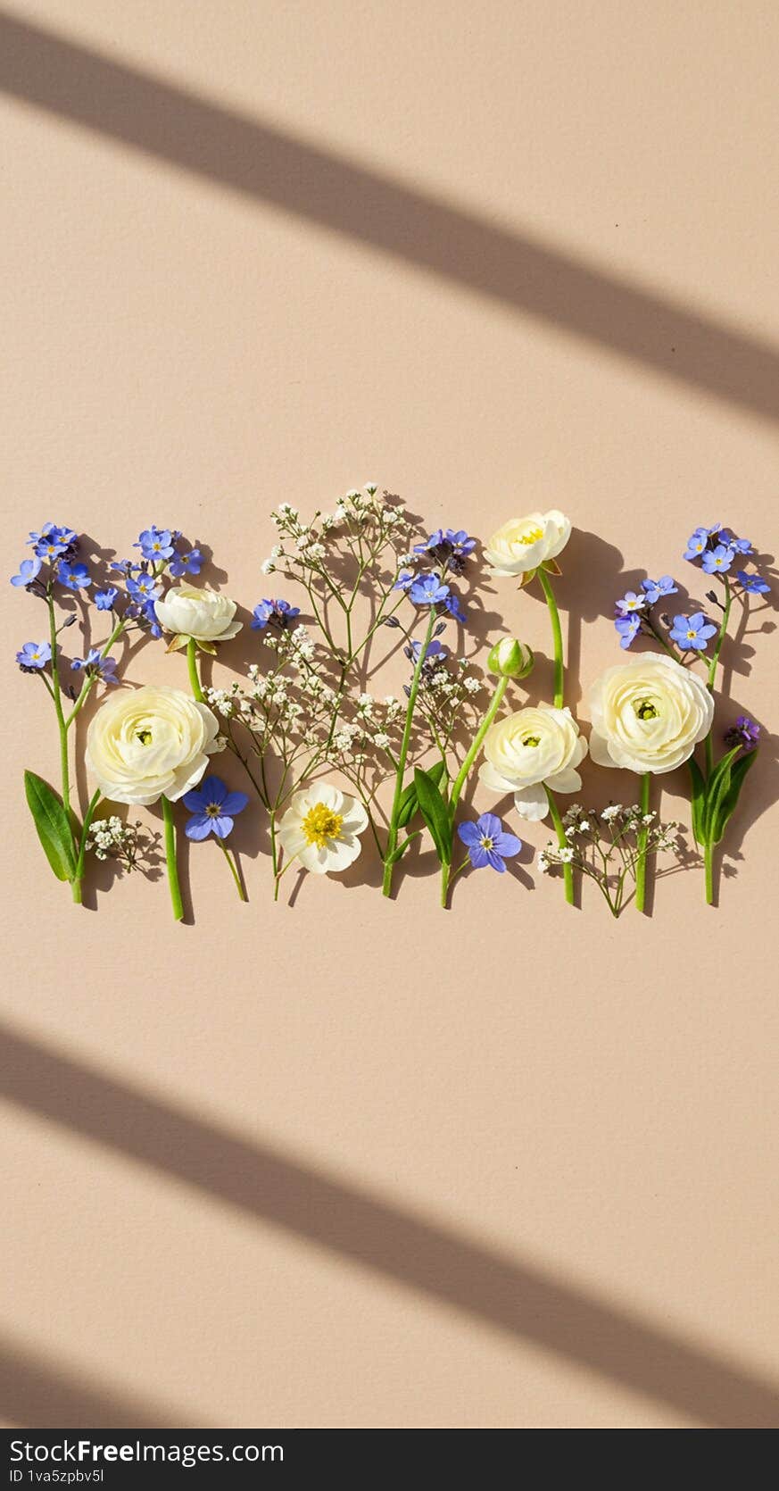 Flowers are arranged in a neat row on a beige background. White roses (Rosa sp.), delicate blue forget-me-nots (Myosotis sp.), and clusters of small white baby's breath (Gypsophila sp.) create an elegant pattern. The shadows of the flowers fall across the surface, adding depth. The composition highlights the contrast between the soft flower colors and the neutral background. Spread evenly, the stems and blooms appear fresh, suggesting a natural yet carefully curated display. Flowers are arranged in a neat row on a beige background. White roses (Rosa sp.), delicate blue forget-me-nots (Myosotis sp.), and clusters of small white baby's breath (Gypsophila sp.) create an elegant pattern. The shadows of the flowers fall across the surface, adding depth. The composition highlights the contrast between the soft flower colors and the neutral background. Spread evenly, the stems and blooms appear fresh, suggesting a natural yet carefully curated display.