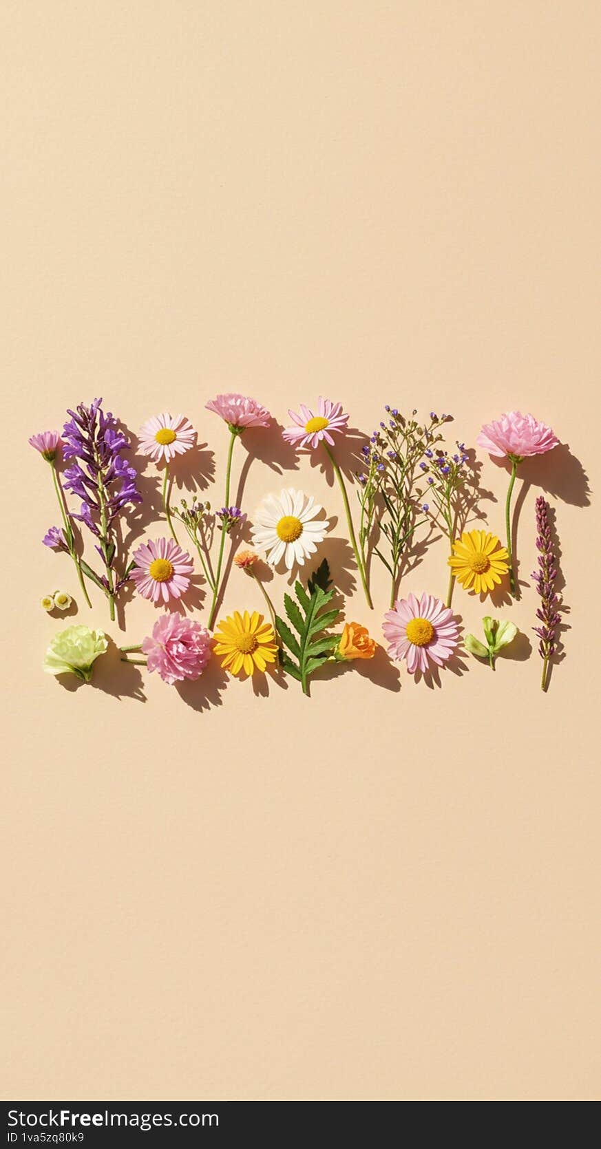 An array of assorted flowers neatly arranged on a beige background. Species include purple lavender (Lavandula), pink and white daisies (Bellis perennis), and yellow marigolds (Tagetes). The blooms vary in color, including shades of pink, purple, yellow, and white, with some greenery interspersed. The composition is orderly and visually balanced, showcasing the diversity and beauty of the flowers.