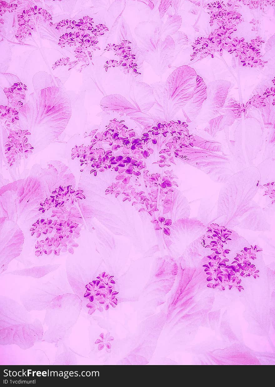 abstraction with flowers and leaves. floral pink background, texture of flowers and leaves. illustration