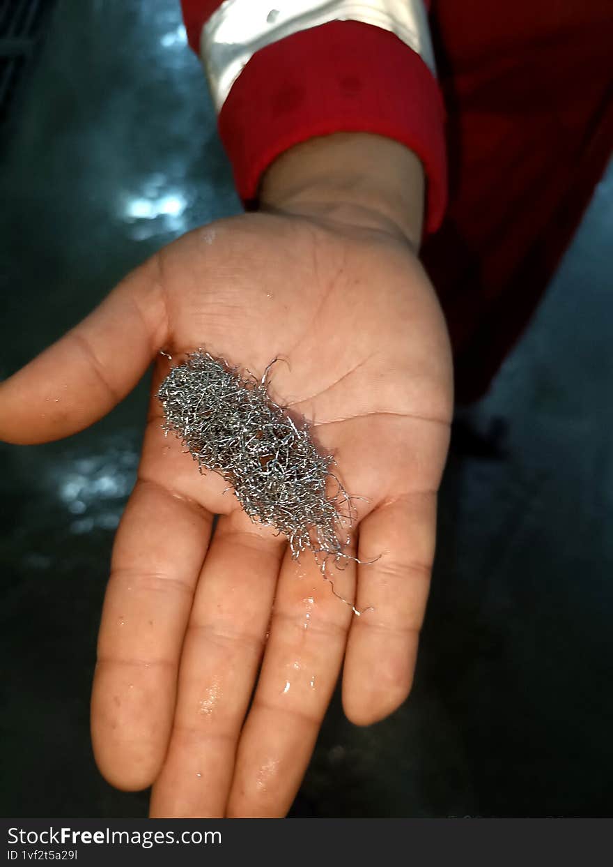 A hand gripping a shiny silver shrimp, highlighting the incredible diversity of marine life and fishing methods. The Silver Shrimp is uniquely Caught in the Vibrant Tropical Waters of the Oceanic Regions