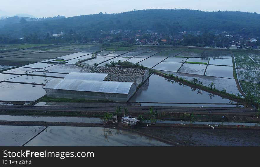 top view of ricefield and pen