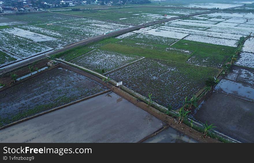top view of ricefield and railway