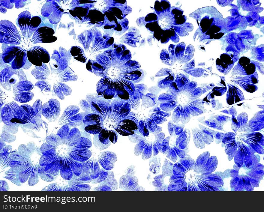 abstract floral white background with  blue flowers. illustrations