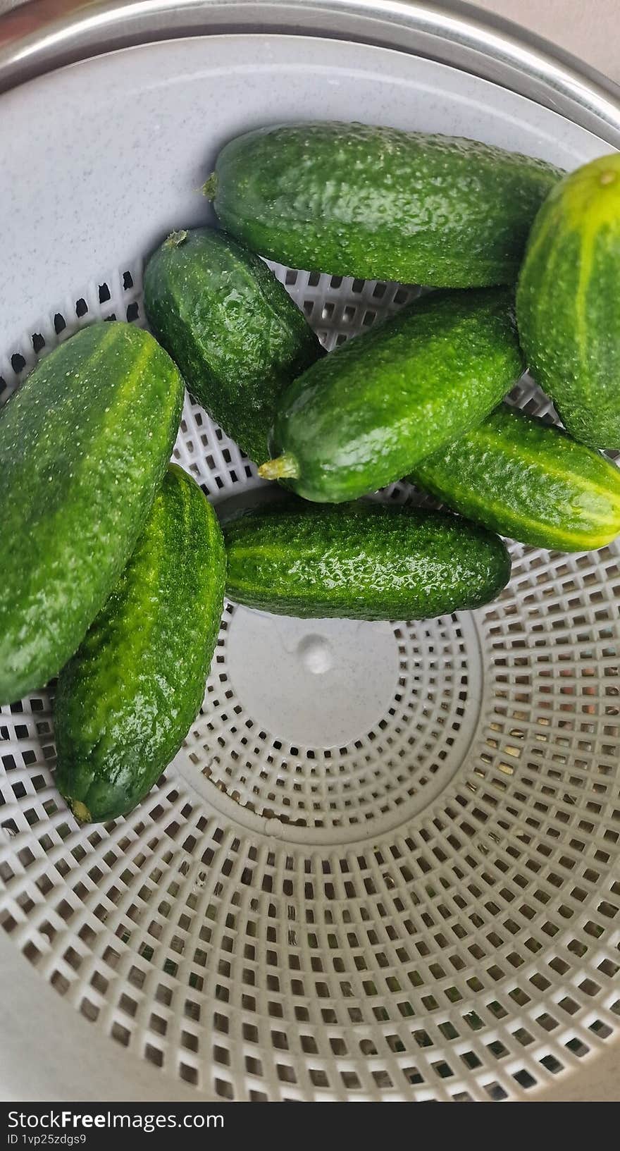 Organic homegrown fresh vegetables cucumbers green