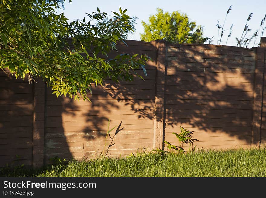 Wooden fence with tree shadows on sunny day � private garden and backyard atmosphere