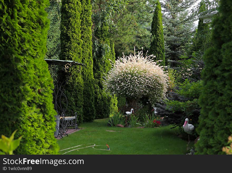Lush Garden with White Blossoming Shrubs, Decorative Metal Bench, and Ornamental Bird Statue Among Greenery