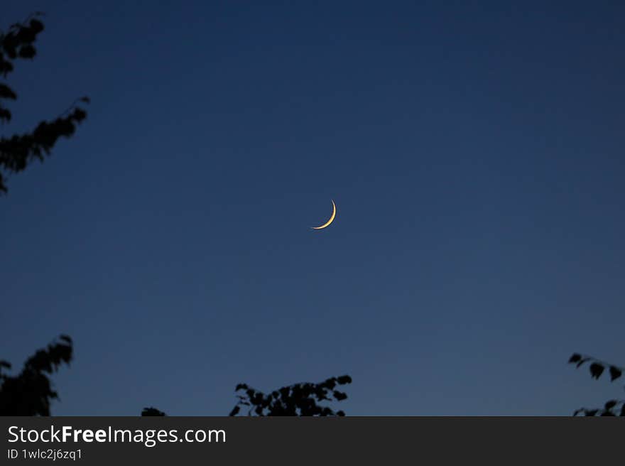 A crescent moon is visible in a dark blue night sky, partially covered by light clouds. The foreground features the silhouettes of tree branches, with their leaves creating an intricate pattern against the sky. The trees appear densely packed, their dark forms contrasting with the subtle gradient of the sky. The overall composition highlights the calm serenity of the nighttime scene. A crescent moon is visible in a dark blue night sky, partially covered by light clouds. The foreground features the silhouettes of tree branches, with their leaves creating an intricate pattern against the sky. The trees appear densely packed, their dark forms contrasting with the subtle gradient of the sky. The overall composition highlights the calm serenity of the nighttime scene.