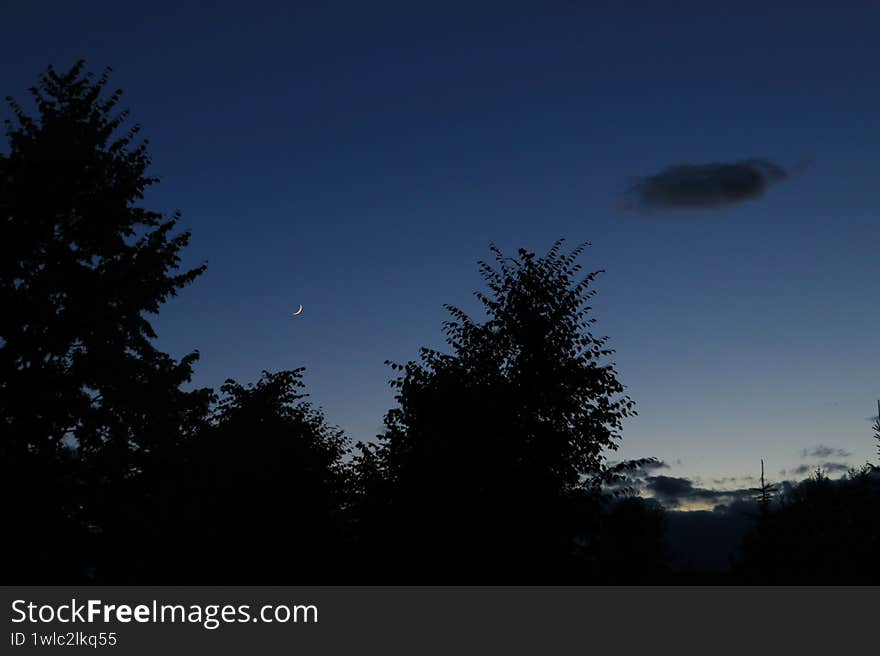 A crescent moon is visible in a dark blue night sky, partially covered by light clouds. The foreground features the silhouettes of tree branches, with their leaves creating an intricate pattern against the sky. The trees appear densely packed, their dark forms contrasting with the subtle gradient of the sky. The overall composition highlights the calm serenity of the nighttime scene. A crescent moon is visible in a dark blue night sky, partially covered by light clouds. The foreground features the silhouettes of tree branches, with their leaves creating an intricate pattern against the sky. The trees appear densely packed, their dark forms contrasting with the subtle gradient of the sky. The overall composition highlights the calm serenity of the nighttime scene.
