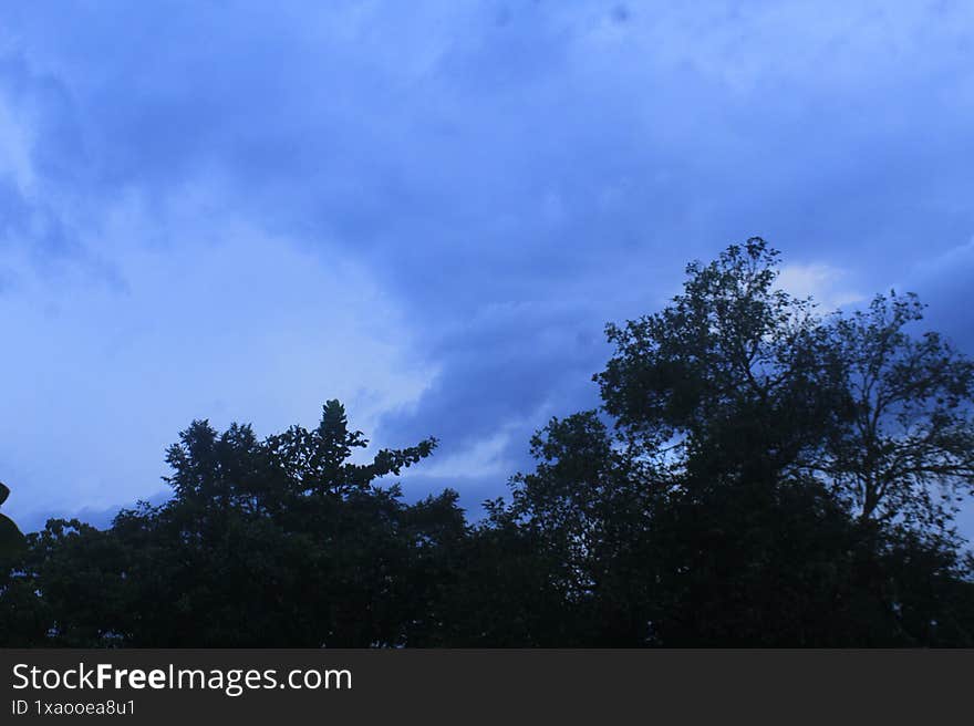 A serene view of the evening sky taken from a backyard just after a light rain. The cloudy blue atmosphere and silhouette of trees create a peaceful post-rain ambiance. Captured naturally without AI or filters. A serene view of the evening sky taken from a backyard just after a light rain. The cloudy blue atmosphere and silhouette of trees create a peaceful post-rain ambiance. Captured naturally without AI or filters.