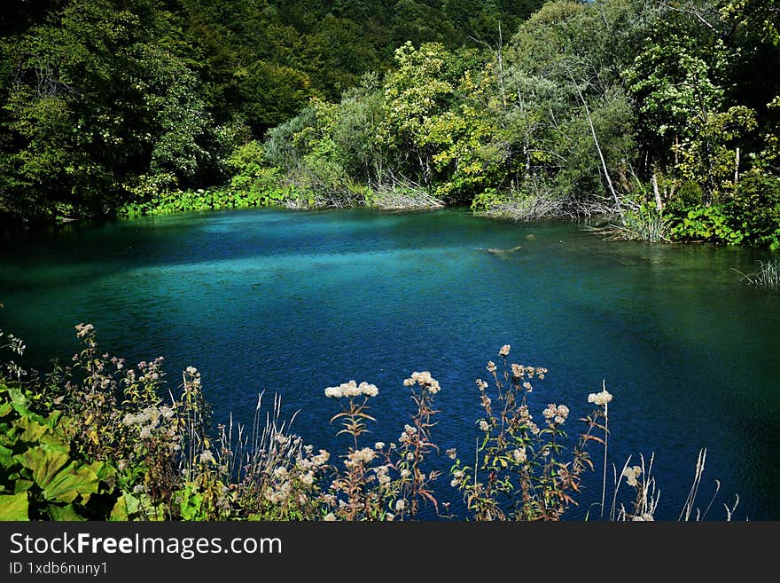 Croatian summer lake in Plitvice
