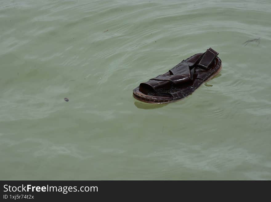 Single brown sandal floating in murky green river water