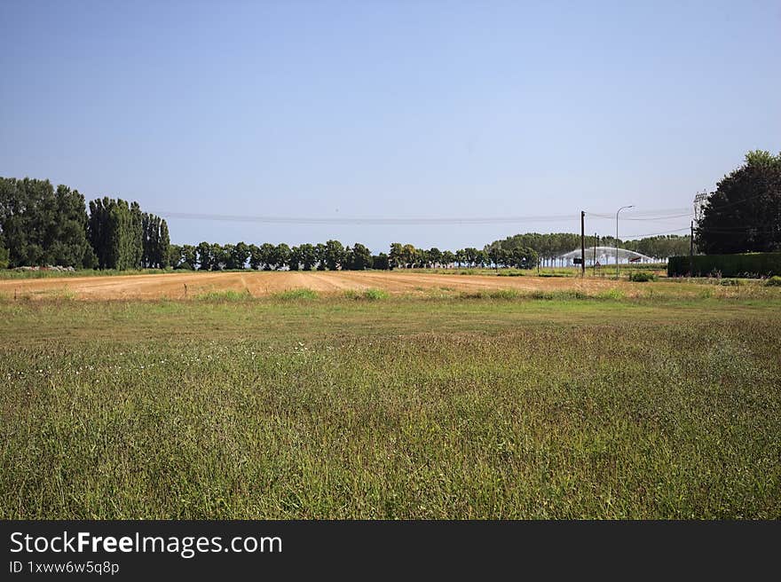 Mowed field in the countryside