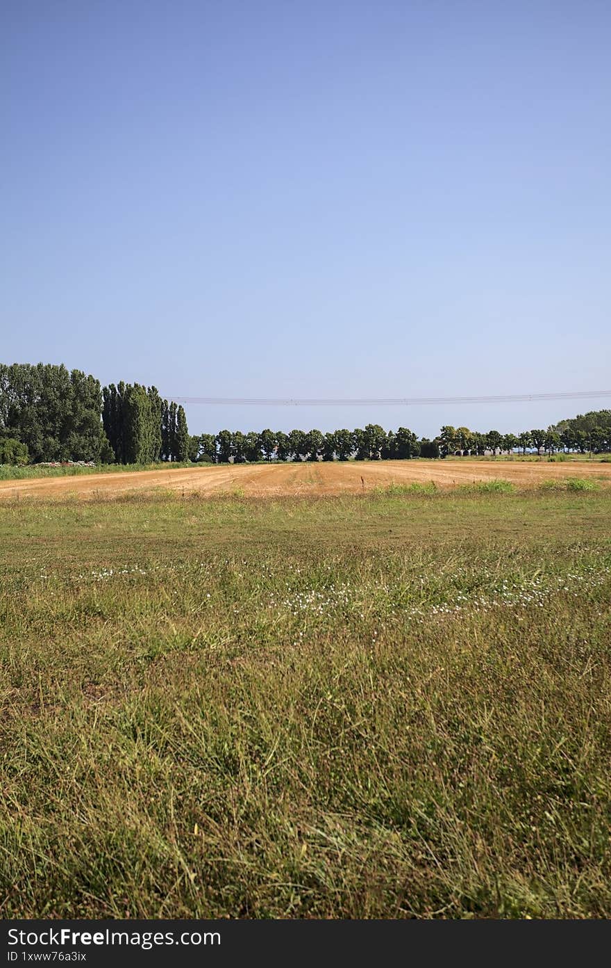 Mowed field in the countryside