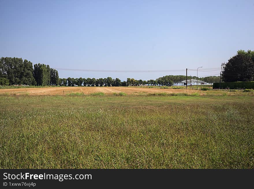 Mowed field in the countryside